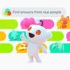 Reddit Answers
