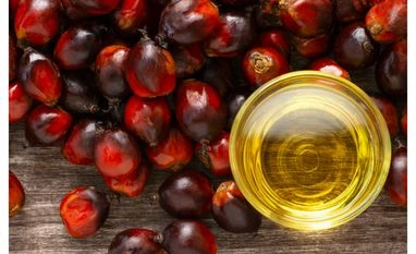 Godrej Consumer to hike soap prices gradually amid palm oil price surge Palm oil