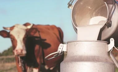 India leads global milk production, aims for 300 mn MT in next 5 years Milk industry sounds the alarm as India's production growth sees steep fall