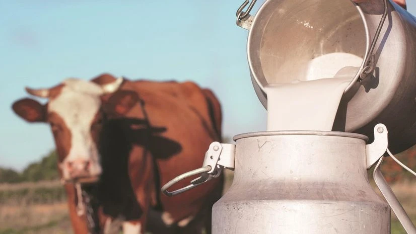 Milk industry sounds the alarm as India's production growth sees steep fall Milk industry sounds the alarm as India's production growth sees steep fall