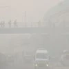 New Delhi Fog, Fog