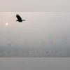 Mumbai Pollution