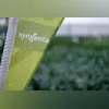 Syngenta Syngenta