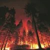 2 killed in Spanish wildfire as extreme heat wave hits parts of Europe