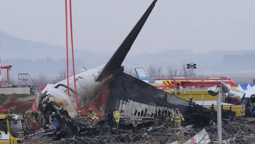 Plane Crash, South Korea Plane Crash, Muan Plane Crash Plane Crash, South Korea Plane Crash, Muan Plane Crash