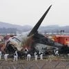 Plane Crash, South Korea Plane Crash, Muan Plane Crash