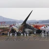 Small plane bound for Denmark crashes in Swiss Alps, 3 feared dead Plane Crash, South Korea Plane Crash, Muan Plane Crash
