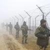 Fog, Amritsar Fog, Winter, BSF, Security, Border