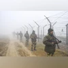 Fog, Amritsar Fog, Winter, BSF, Security, Border Fog, Amritsar Fog, Winter, BSF, Security, Border
