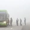 Fog, New Delhi Fog, Winter