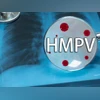 HMPV, disease, illness, health HMPV, disease, illness, health