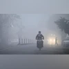 Fog, Winter, Dehradun Fog, Uttarakhand Winter, Uttarakhand Fog Fog, Winter, Dehradun Fog, Uttarakhand Winter, Uttarakhand Fog