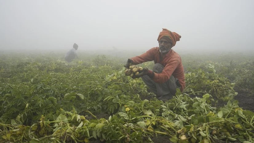 Farmers, Farmer, agriculture Farmers, Farmer, agriculture