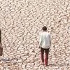 heat global warming weather