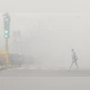 Fog, New Delhi Fog, Winter, Delhi Fog Fog, New Delhi Fog, Winter, Delhi Fog