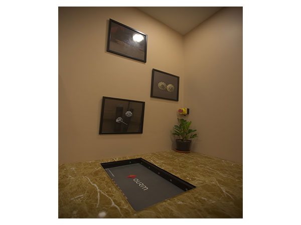 Tennis player James Blake