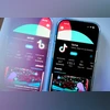 Perplexity AI's new bid for TikTok parent firm could give US govt 50% stake TikTok