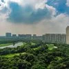 DLF announced that it has sold nearly 41 per cent of its offerings in its super-luxury Dahlias