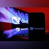 DeepSeek