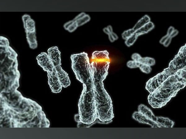 Tennis player James Blake