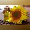 Oil Seed Oil Seed
