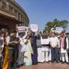 Protest, Parliament Protest, Rahul Gandhi, Rahul