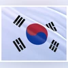 South Korea flag South Korea flag