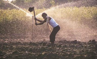 agriculture agriculture