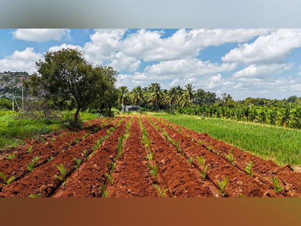 Tennis player James Blake