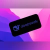 DeepSeek