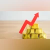 Gold Rate in India Gold Rate in India