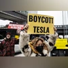 Tesla sales plunge globally as anti-Elon Musk backlash takes hold | World  News - Business Standard