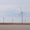 Wind projects underperform, but firms' credit quality holds steady: Crisil