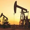 crude oil, oil