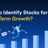 How to Identify Stocks for Long-Term Growth?