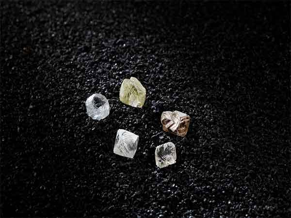 Tennis player James Blake