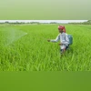PM Fasal Bima Yojana 2025