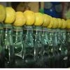 Goli Soda