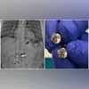 US police recover $769,500 Tiffany diamond earrings after man swallows them