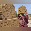 Female labourer Female labourer