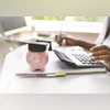 Education loan growth at NBFCs to slow to 25% in FY26 on US visa curbs