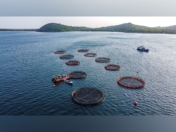 Tennis player James Blake