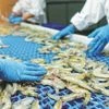 Indian shrimp sector crisis, US tariffs on shrimp exports, shrimp export losses India, $1 billion shrimp loss, vannamei shrimp exports, 50 count shrimp price drop, farm-gate shrimp prices India, Rs 70/kg shrimp price fall, Indian seafood export impac
