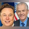 elon musk, peter navarro