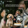 Motorola Edge 60 Fusion OS review: Closer look at Hello UI and AI features