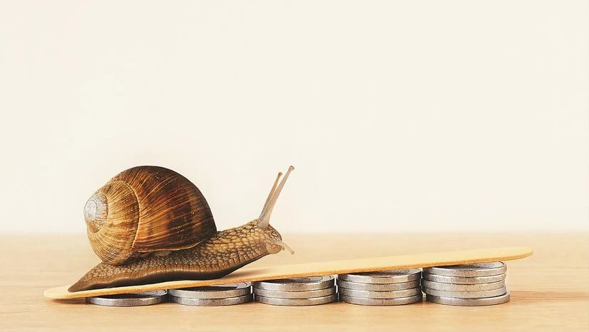 Investing into the slowdown, Industry optimism Investing into the slowdown, Industry optimism