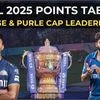 IPL 2025 points table