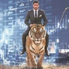 stock market, tiger, price-to-earnings, P/E ratio