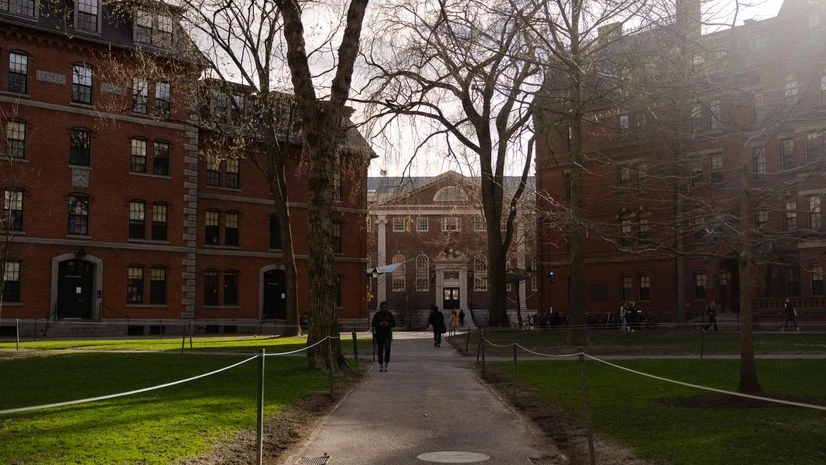 The Harvard University campus in Cambridge The Harvard University campus in Cambridge