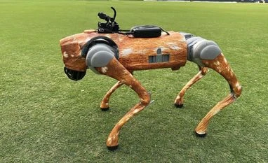 IPL robot dog IPL robot dog